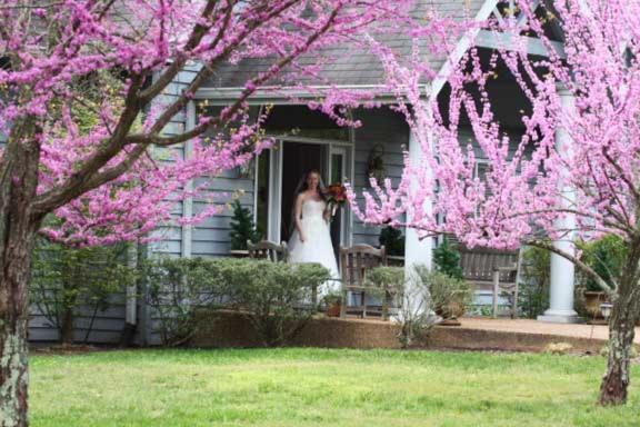 The Garden Inn Bed & Breakfast At Bee Rock Monterey Bagian luar foto